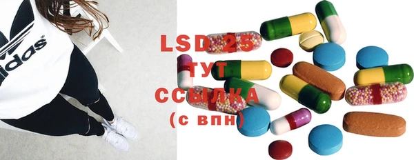 PSILOCYBIN Алзамай
