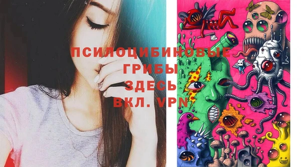 синтетический гашиш Алексин