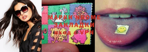 PSILOCYBIN Алзамай
